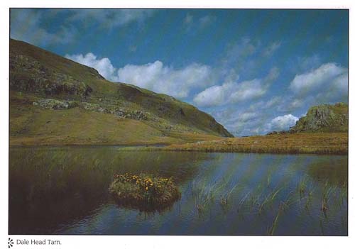 Dale Head Tarn postcards